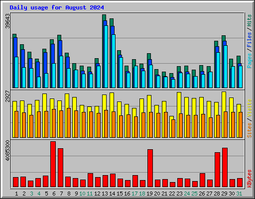 Daily usage for August 2024