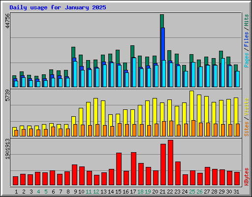 Daily usage for January 2025