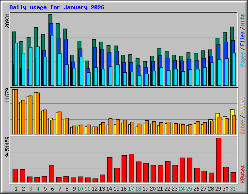 Daily usage for January 2026