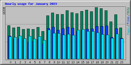 Hourly usage for January 2023