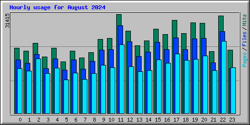 Hourly usage for August 2024