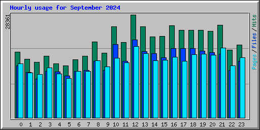 Hourly usage for September 2024