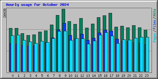 Hourly usage for October 2024