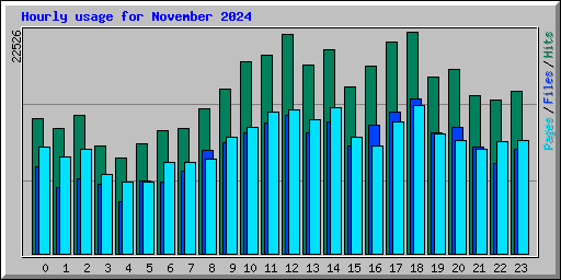 Hourly usage for November 2024