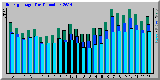 Hourly usage for December 2024