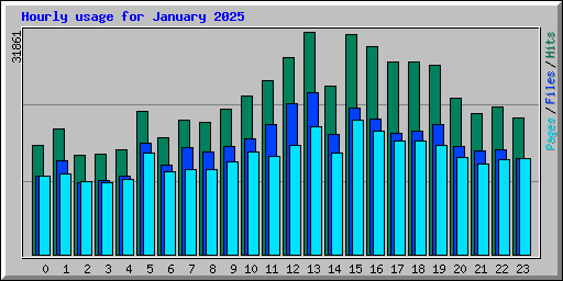 Hourly usage for January 2025