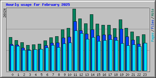 Hourly usage for February 2025