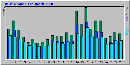 Hourly usage for March 2025