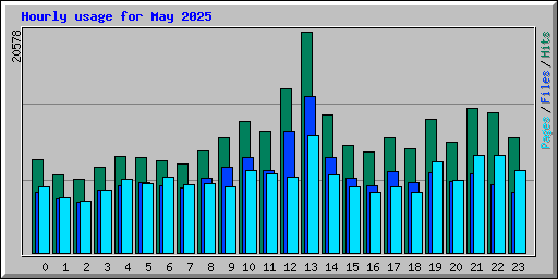 Hourly usage for May 2025