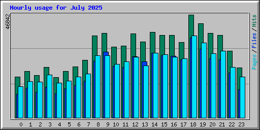 Hourly usage for July 2025
