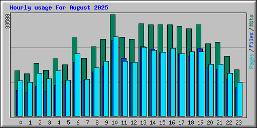 Hourly usage for August 2025