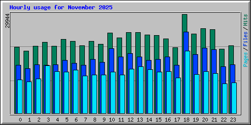 Hourly usage for November 2025