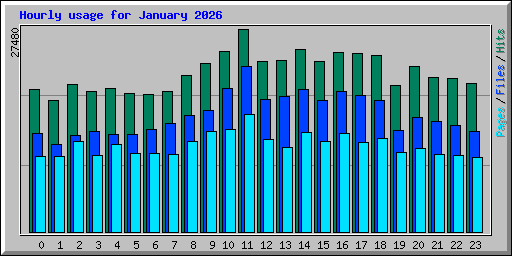 Hourly usage for January 2026