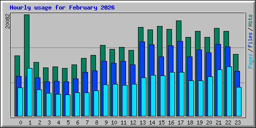 Hourly usage for February 2026